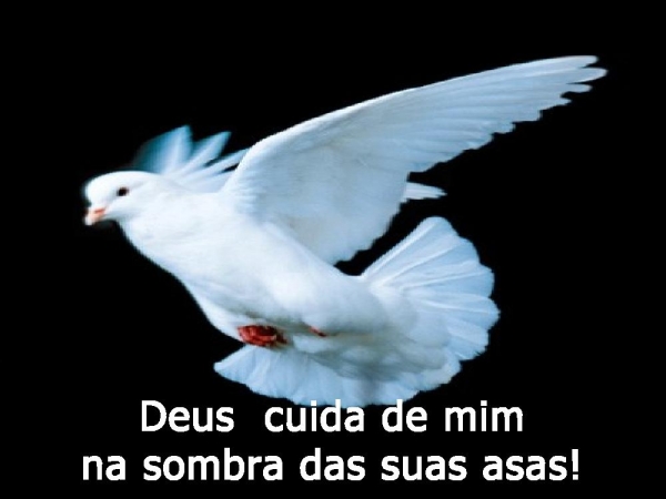 EU PRECISO APRENDER - página 12