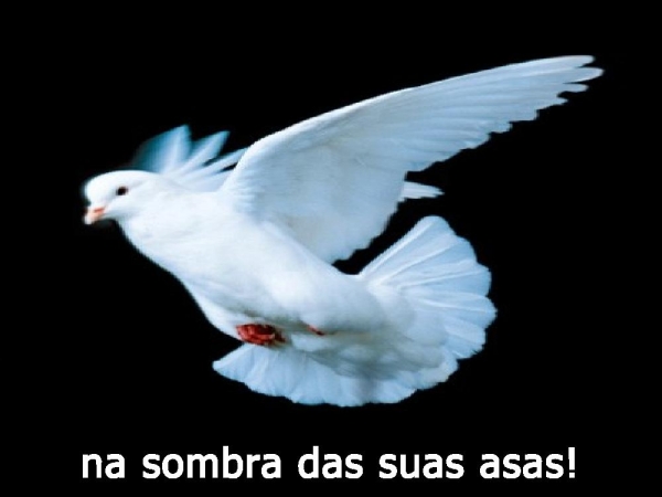 EU PRECISO APRENDER - página 22
