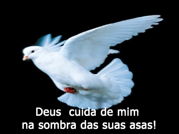 EU PRECISO APRENDER - página 25