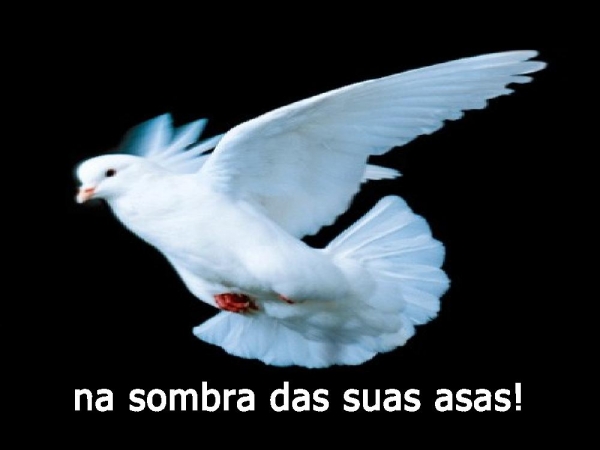 EU PRECISO APRENDER - página 9