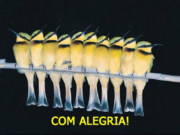 Com alegria viemos dedicar os nossos corações ao Senhor