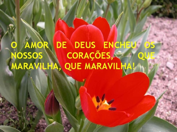 MUITO MAIS DE DEUS - página 3
