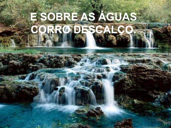 PAI - página 7