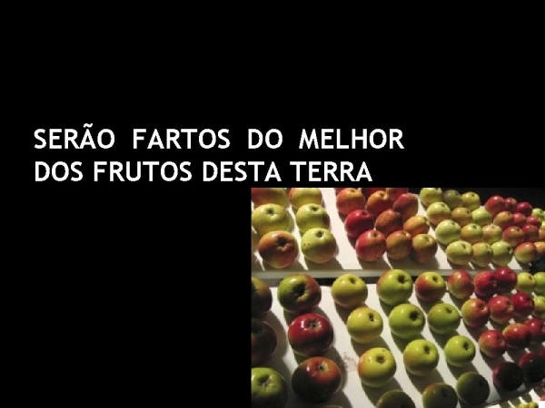 MEU MELHOR - página 13