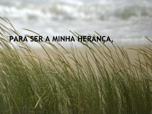 MEU MELHOR - página 14