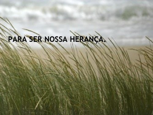 MEU MELHOR - página 16