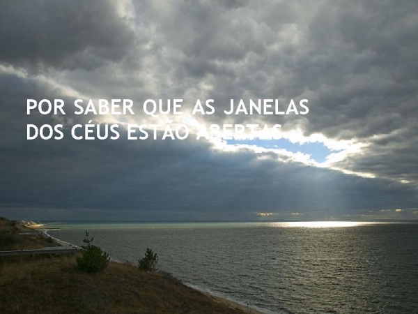 MEU MELHOR - página 6