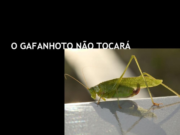 MEU MELHOR - página 8