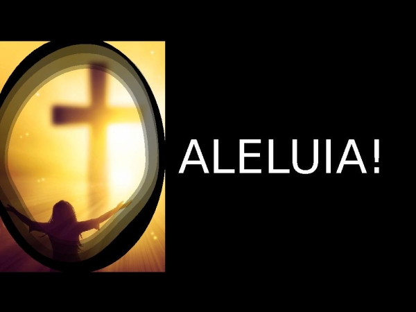 Sobre As Águas - Trazendo a Arca (PIB) - página 14