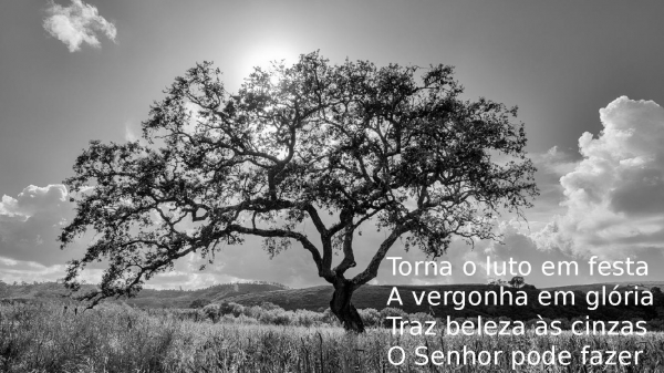 Vida aos sepulcros.pptx - página 8