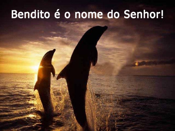 Fico feliz, em vir em Tua casa - página 7