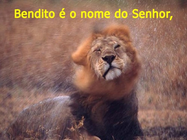 Fico feliz, em vir em Tua casa - página 8