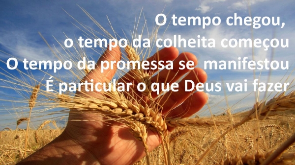 Tempo da Colheita.pptx - página 1