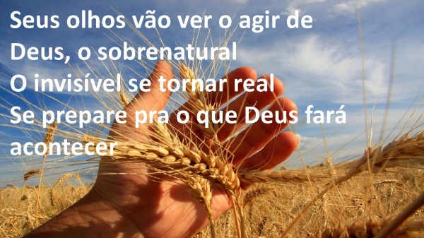 Tempo da Colheita.pptx - página 2