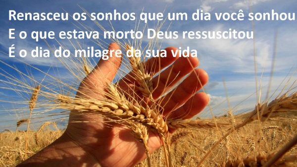Tempo da Colheita.pptx - página 3