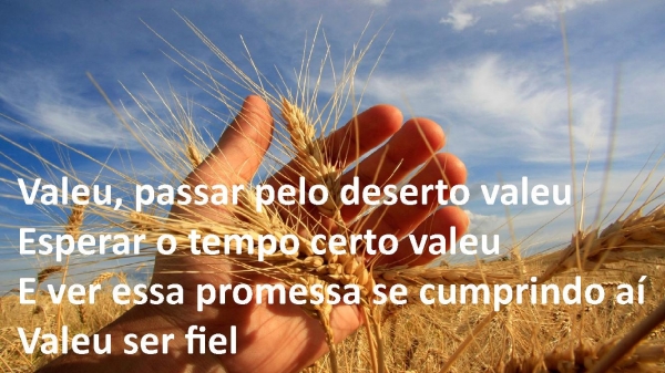 Tempo da Colheita.pptx - página 4