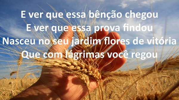 Tempo da Colheita.pptx - página 5