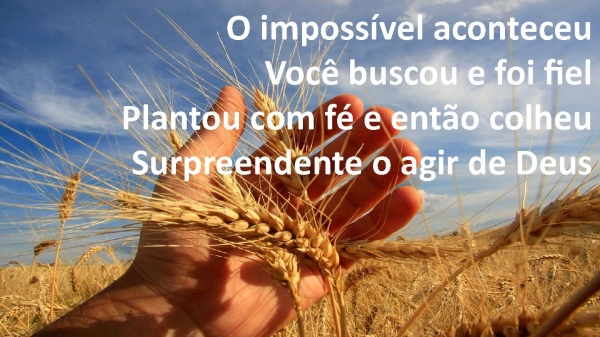 Tempo da Colheita.pptx - página 6
