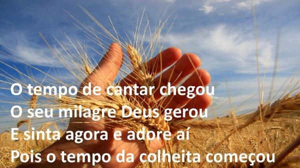 Tempo da Colheita.pptx - página 7
