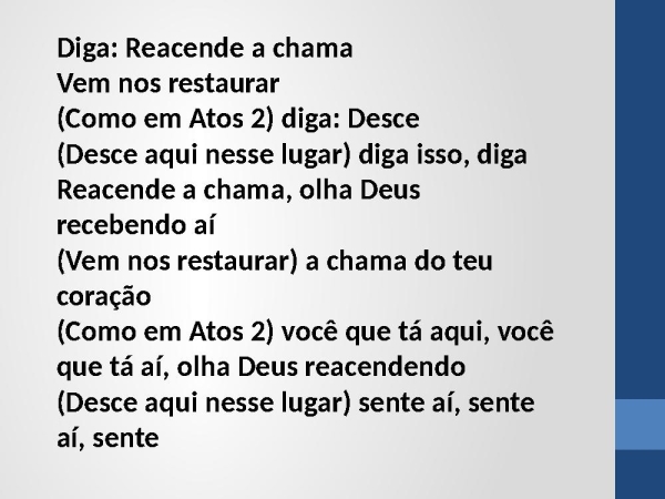 REACENDE A CHAMA - página 14