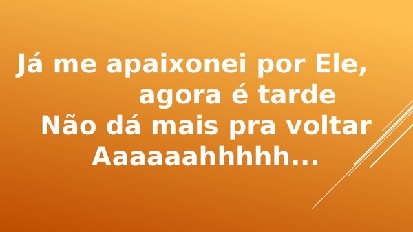 Flordelis - Quem sou eu.pptx - página 28