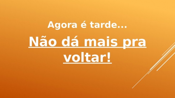 Flordelis - Quem sou eu.pptx - página 29