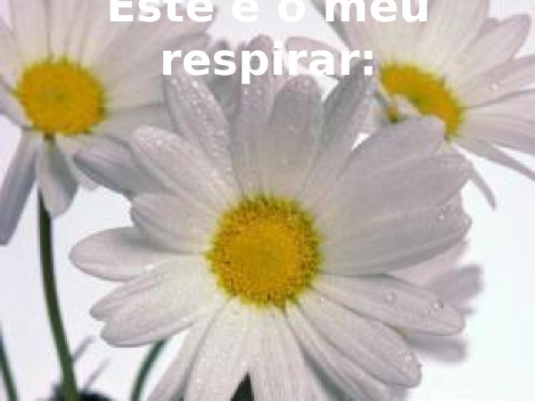 Este é o meu respirar - página 2
