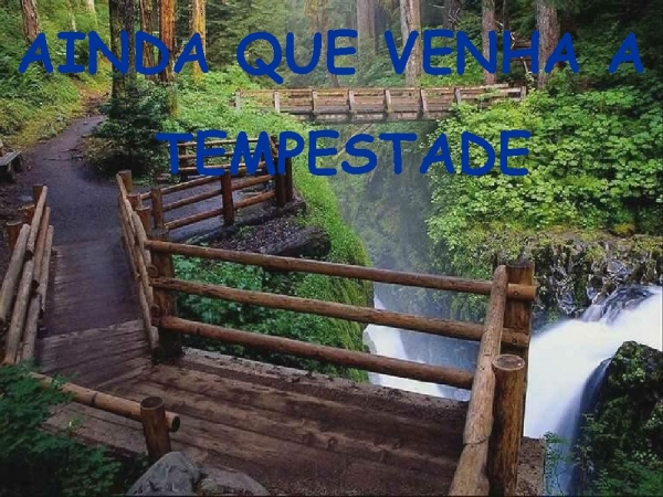 Família - página 11