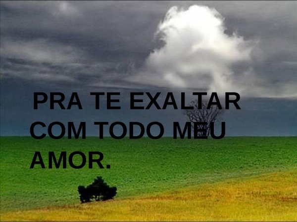 AO REI DOS REIS CONSAGRO - página 5