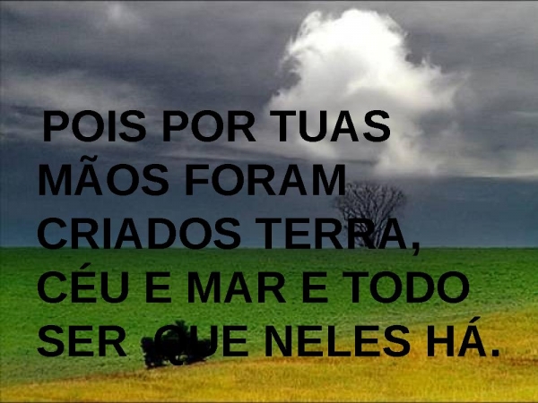 AO REI DOS REIS CONSAGRO - página 8