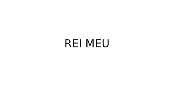 REI MEU.pptx