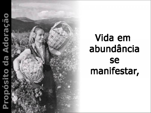 Você vai adorar - página 11