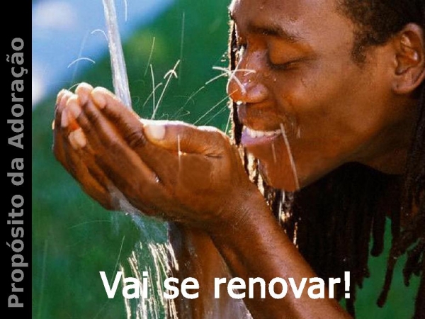 Você vai adorar - página 14
