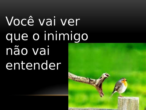 VOU SEGUIR - página 3