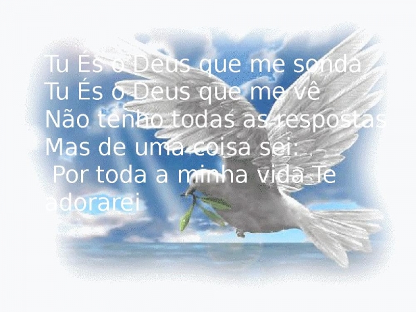 ADORADOR ( NADA PODE CALAR UM ADORADOR).pptx - página 4