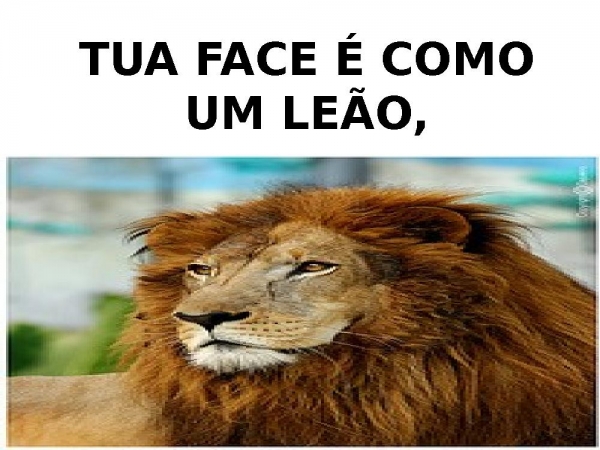 TUA FACE É COMO UM LEÃO - página 1