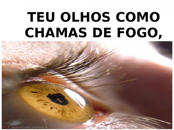 TUA FACE É COMO UM LEÃO - página 2