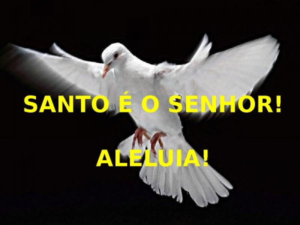 TUA FACE É COMO UM LEÃO - página 10