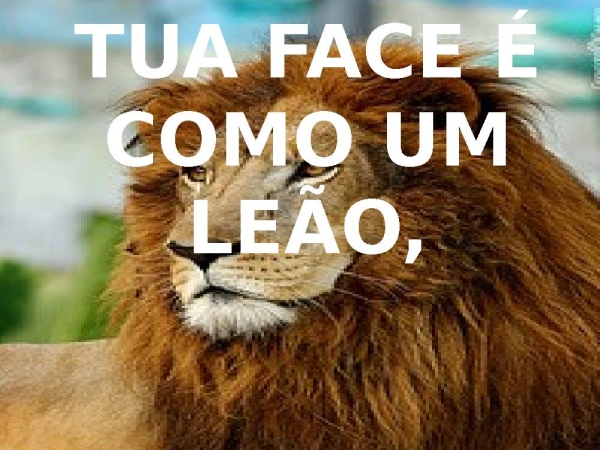 TUA FACE É COMO UM LEÃO - página 1