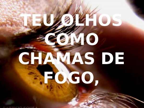 TUA FACE É COMO UM LEÃO - página 2