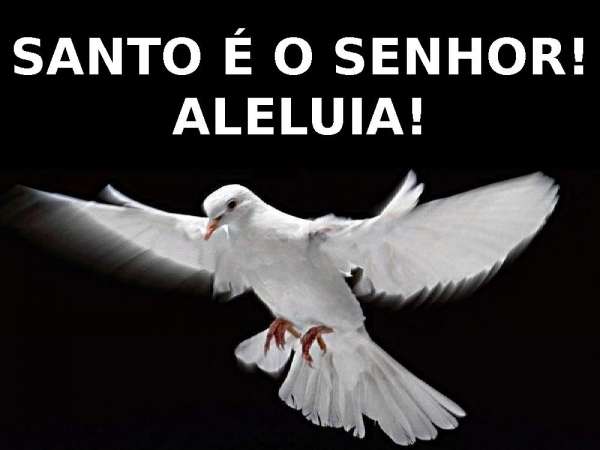 TUA FACE É COMO UM LEÃO - página 19