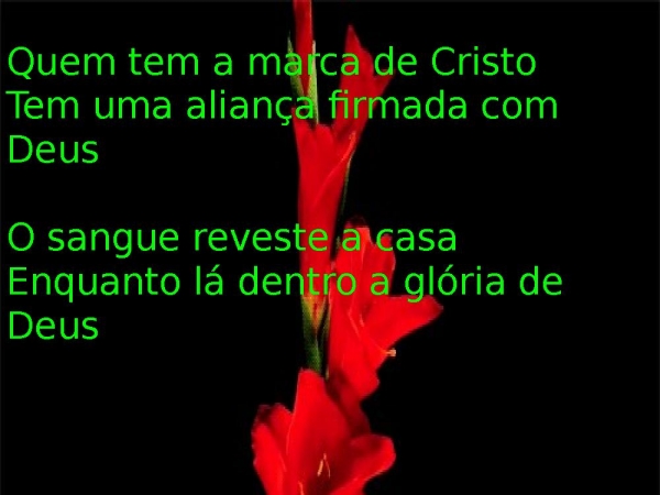 A FAMÍLIA E A MARCA.pptx - página 11