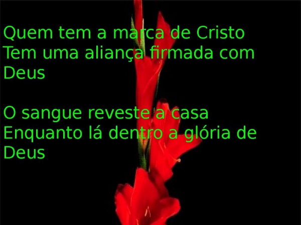 A FAMÍLIA E A MARCA.pptx - página 14