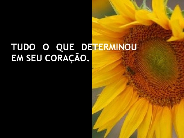 QUANDO DEUS ESCOLHE ALGUÉM - página 2