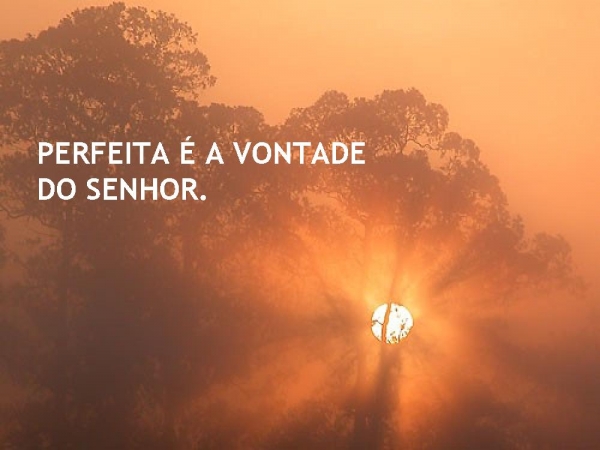 QUANDO DEUS ESCOLHE ALGUÉM - página 8