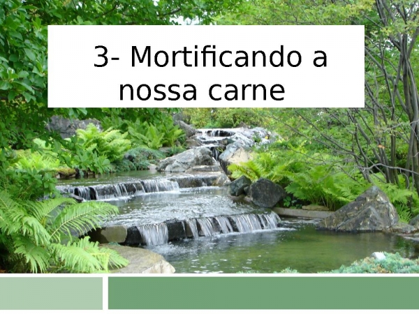 faz me transbordar.ppt - página 5