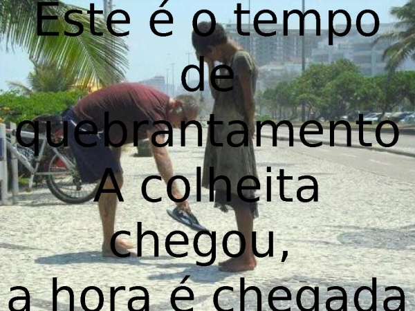 A colheita.pptx - página 12