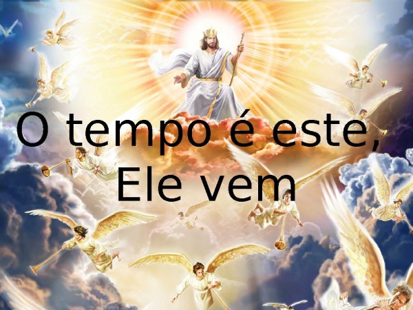 A colheita.pptx - página 13
