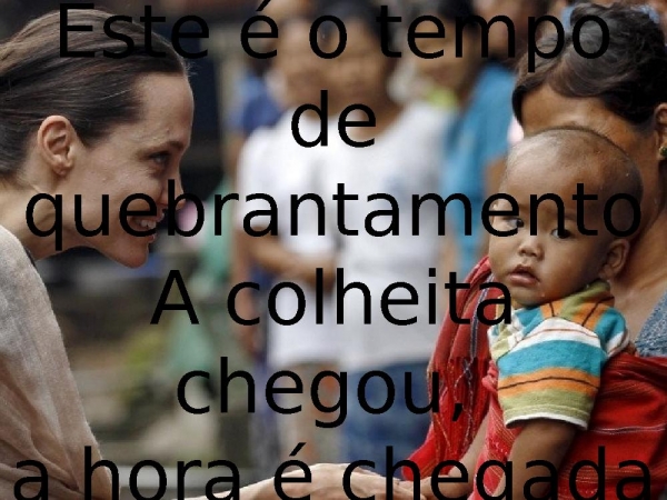 A colheita.pptx - página 15