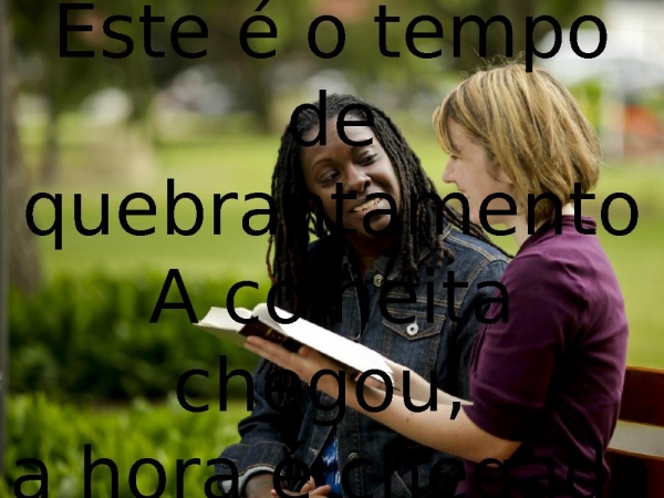 A colheita.pptx - página 6